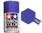 (TAM 85024) TS-24 Purple