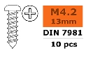 Zelftappende cilinderkopschroef - 4,2X13mm - Gegalvaniseerd staal - 10 st